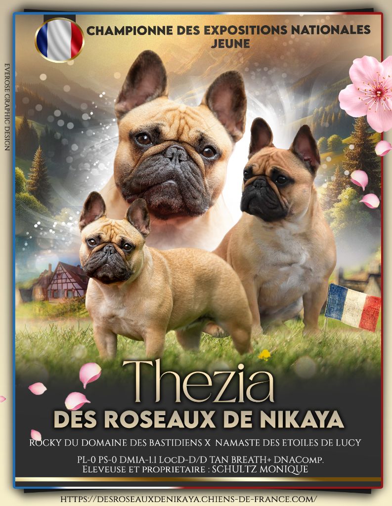 THEZIA des ROSEAUX DE NIKAYA 